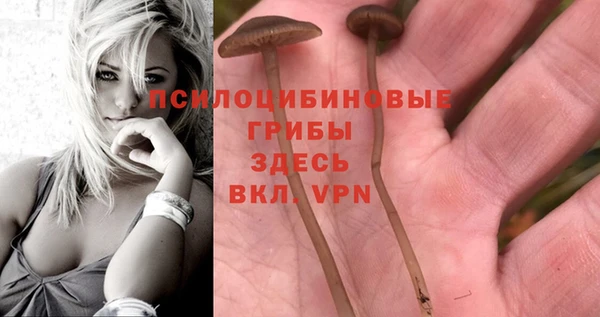 гидра Алексеевка