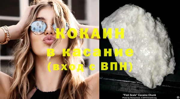 ешки Алексин