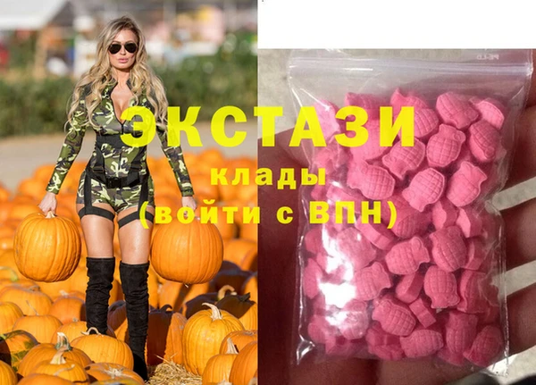 гидра Алексеевка