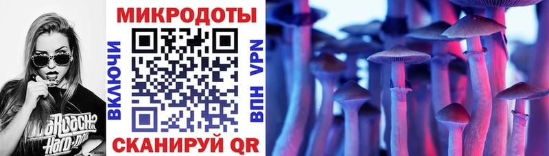Галлюциногенные грибы Psilocybe  Себеж 